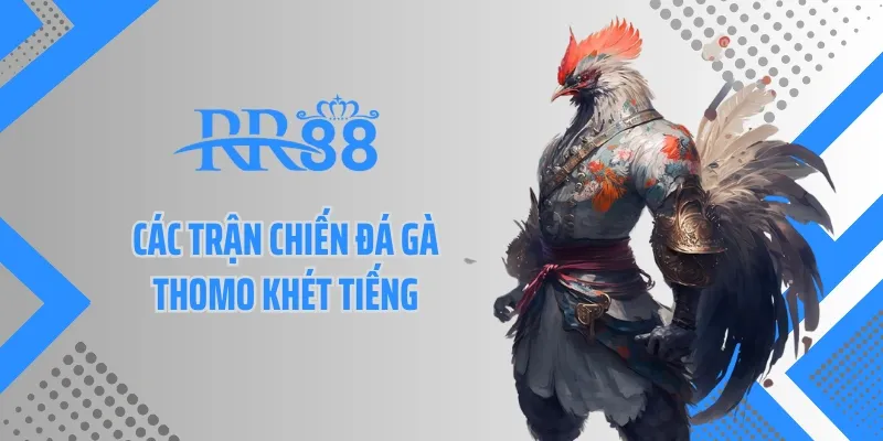 Các trận chiến đá gà Thomo khét tiếng