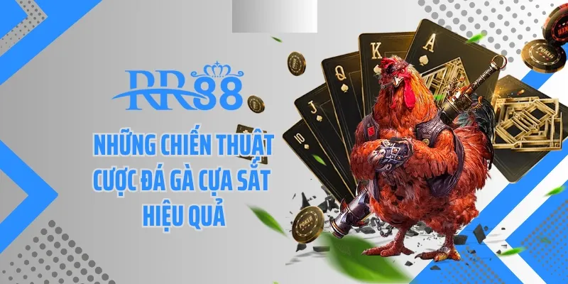 Những chiến thuật cược đá gà cựa sắt hiệu quả