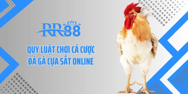 Quy luật chơi cá cược đá gà cựa sắt online