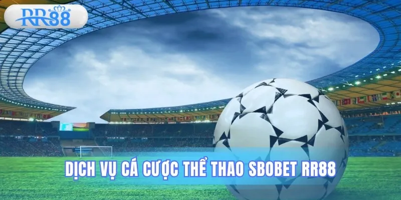 Khám phá dịch vụ cá cược thể thao cực đa dạng