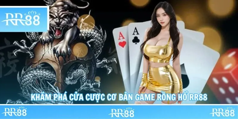 Những cựa cược chính và phụ của Rồng Hổ game